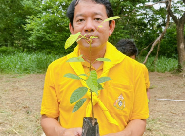 กิจกรรมปลูกต้นไม้เฉลิมพระเกียรติพระบาทสมเด็จพระเจ้าอยู่หัว ... พารามิเตอร์รูปภาพ 10